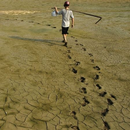 Incalzirea globala aduce foamete si boala