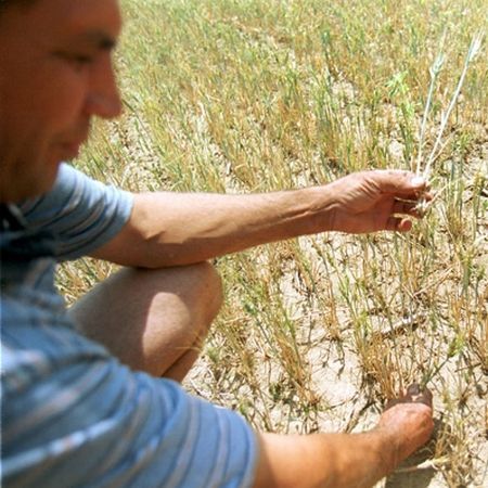 Stare de calamitate in agricultura