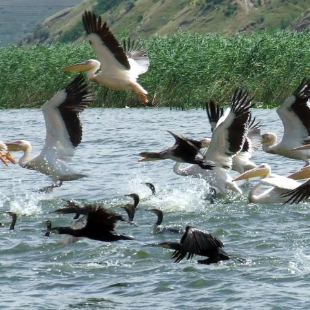 Bijuteriile pe care natura le-a oferit Romaniei