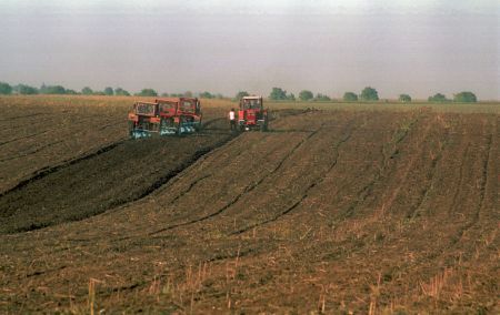 Siveco: plăţile europene către agricultori pot începe la 1 decembrie