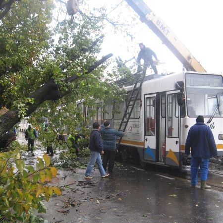 Vijeliile au pus stăpânire pe România