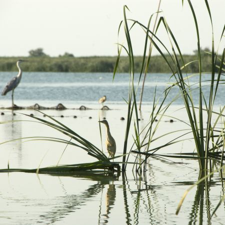 The Danube Delta and country side holydays, stars of  the tourism fair in Berlin