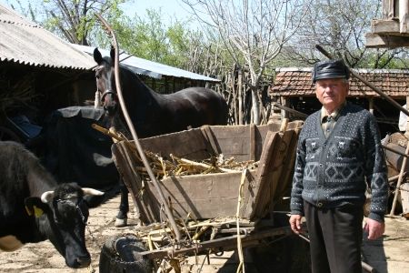 Tatăl şi fiul se luptă pentru primărie