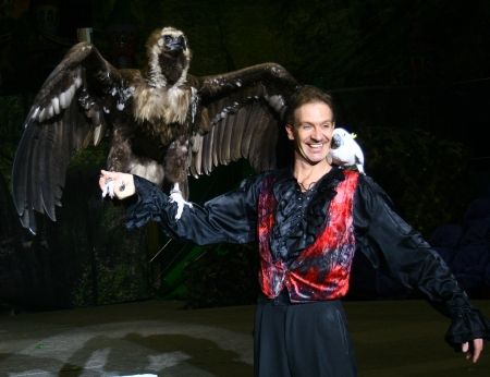 Un vultur pleşuv face show la Circ