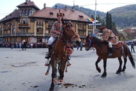 Braşov, oraşul lalelelor