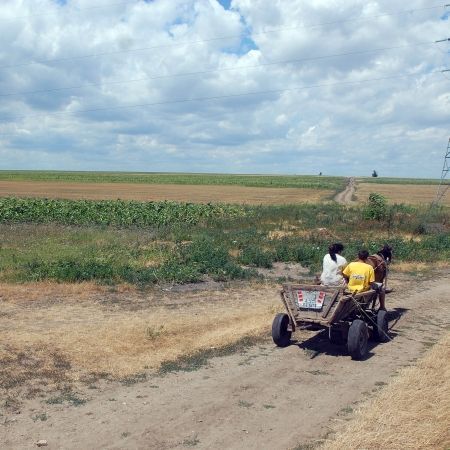 România, mare producător de porumb