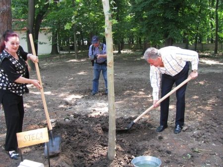 Videanu trece la lopată