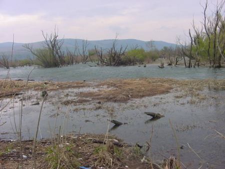 Dunărea, pericol pentru oameni
