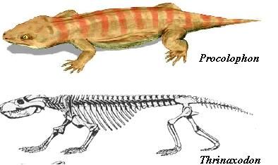 Strămoş al dinozaurilor descoperit în Antarctica