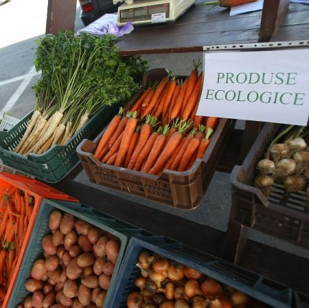 Piaţă de produse ecologice deschisă la Timişoara