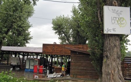 Terasa „Lemon Tree“, tăiată de la rădăcină