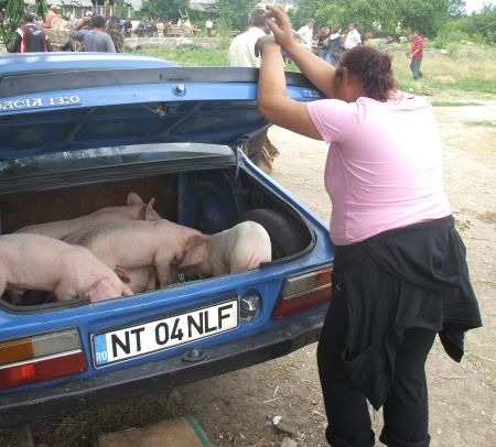 Vânzări ilegale în târg la şeful veterinarilor