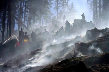 Canicula a aprins ţara