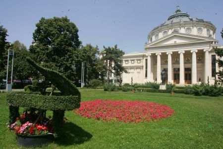 De ce iubim Bucureştiul