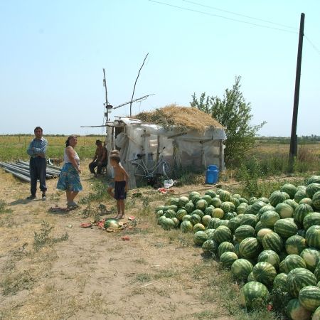 De ce nu e performantă agricultura României?