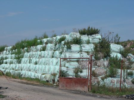 Luptă pentru banii de gunoaie