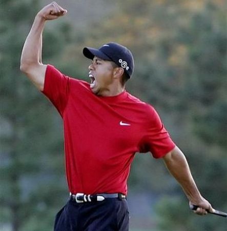 Tiger Woods, doi ani pe bară
