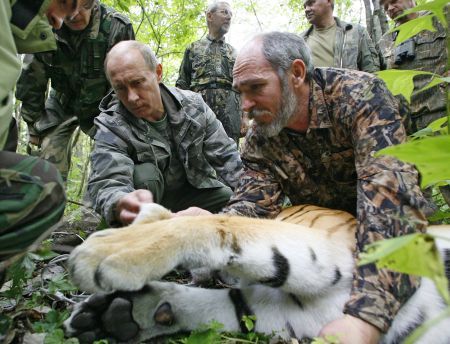 Vladimir Putin, vânătorul de tigri