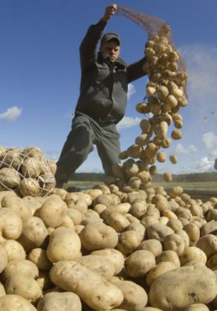 Agricultorii trec la cârma economiei anul viitor