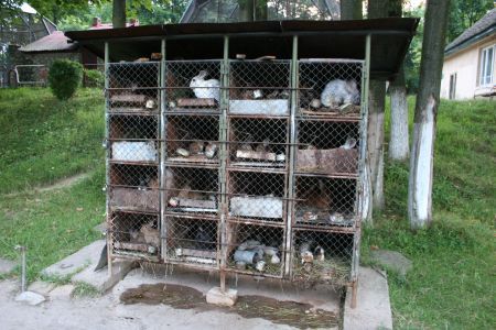 Grădinile zoologice din România, în epoca de piatră