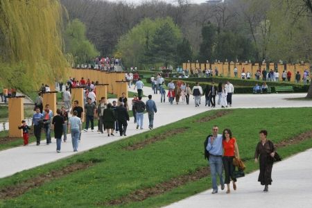 Tâlharii de celulare acţionează pe Insula Trandafirilor