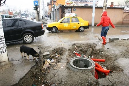 Capcane pentru oameni, în centrul Aradului