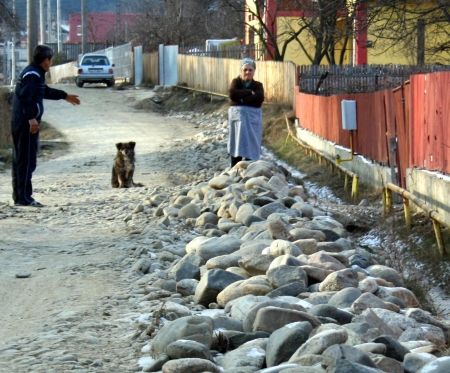 Proiect amânat de criză