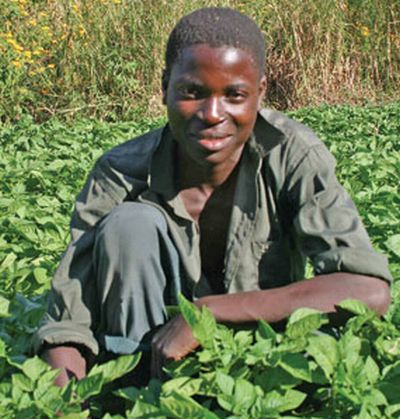 Reţeta de succes din Malawi