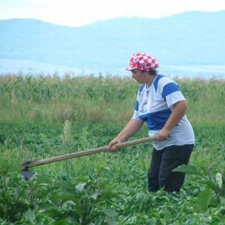 "România, grânarul Europei"