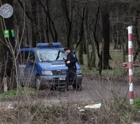 130 de audiaţi şi puţine concluzii în ancheta furtului de arme