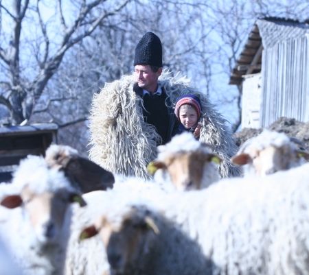 TRANSHUMANŢĂ ÎN CRIZĂ: Mioriţa cheală