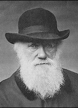 Darwin, un "lord" la Cambridge