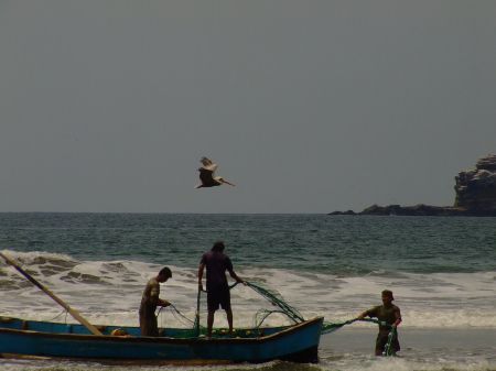 Opt zile în satul de pescari Ayampe