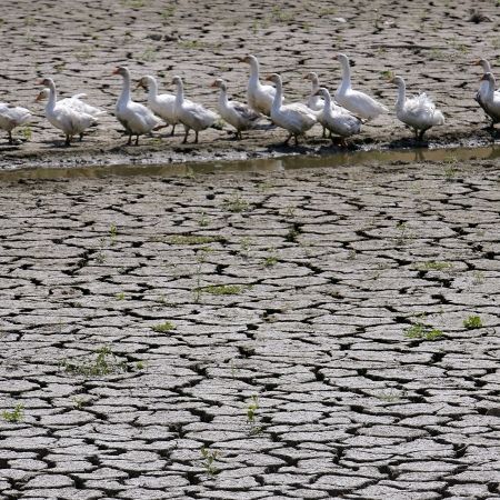 România, afectată de reducerea resurselor de apă