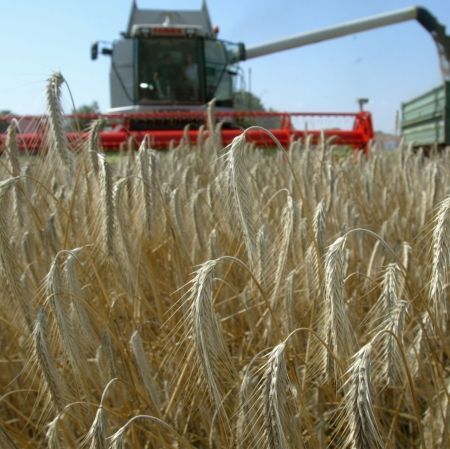 Subvenţiile pentru agricultori, plătite până la 15 martie