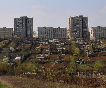 Agricultorii de după blocuri