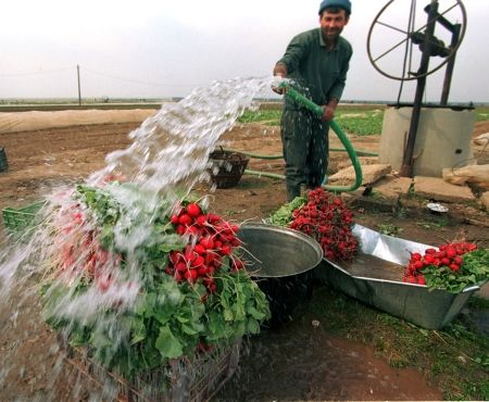 Agricultura, ameninţată de secetă în acest an