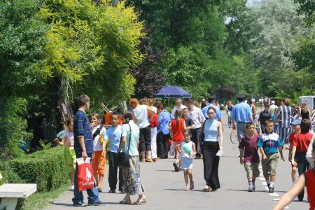 Festivalul Scrumbiei, în desfăşurare pe Faleza Dunării