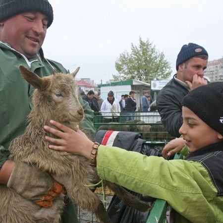 Paştele, în anul mielului pe bonuri