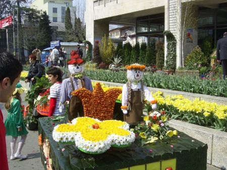 Simfonia Lalelelor, asortată cu ciocolată