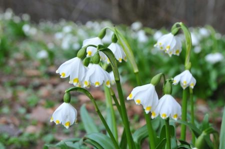 Meteo. Anunțul meteorologilor pentru weekend. Temperaturi de primăvară în România