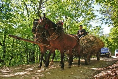 Drumul bolovanilor, „judeţean” pentru căruţe