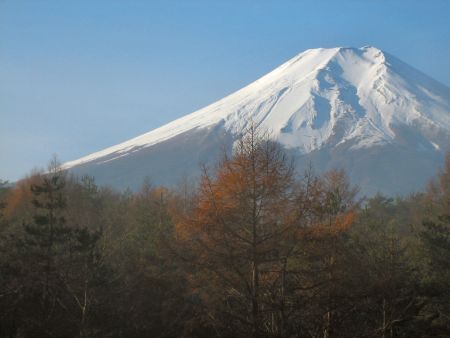 Pădurea sinucigaşilor