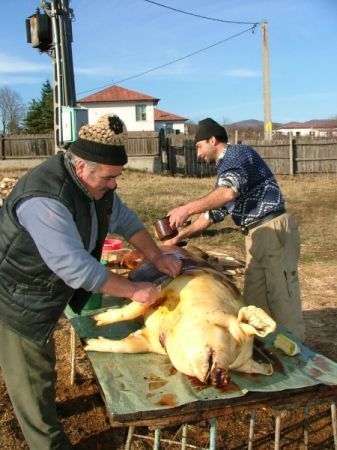 Porcii şi mieii, sacrificaţi tradiţional