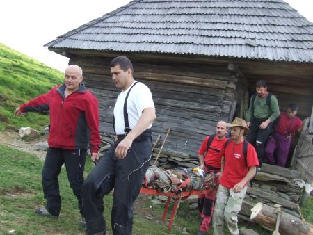 Ciobani, atacaţi de urs în Făgăraş | VIDEO