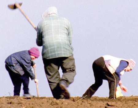 DOCUMENTAR: Mică istorie de supravieţuire