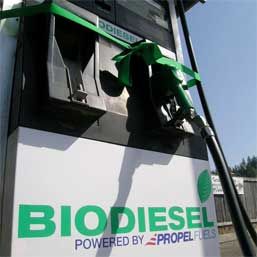 Industria alimentară, afectată de biocarburanţi