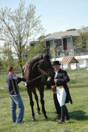 Noul adjunct al APIA Mureş, amânat la judecată