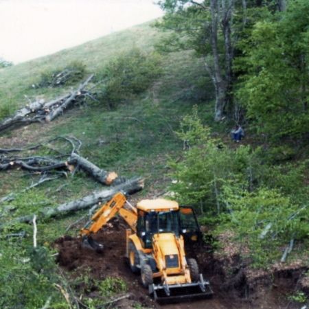 Turn GSM într-o rezervaţie naturală