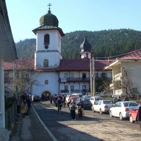 Casa lui Sadoveanu, roasă de „cancerul lemnului”